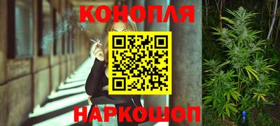 гашик Краснознаменск